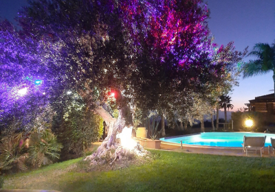 Casa Vacanze Appartamento L'oasi Del Mediterraneo